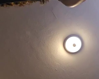 DazzlingDaisy Porn Video